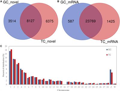 Transcriptomic Analysis of circRNAs and mRNAs Reveals a Complex Regulatory Network That Participate in Follicular Development in Chickens